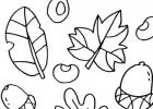 Autumn coloring pages for children of different ages: download and print